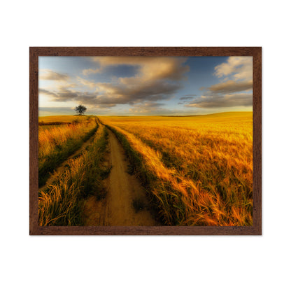 Golden Field Path No2