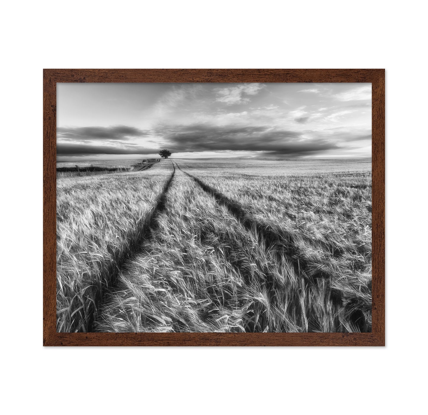 Lone Tree Field Path No2