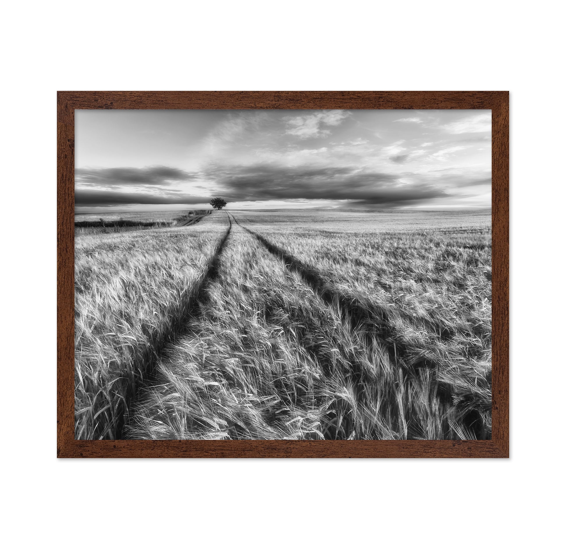 Lone Tree Field Path No2