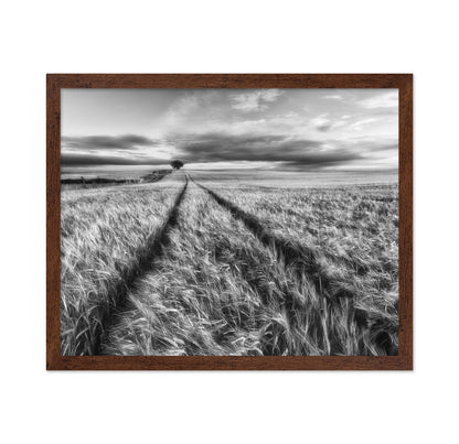 Lone Tree Field Path No2