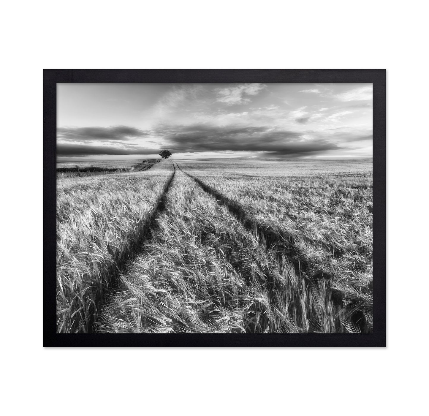 Lone Tree Field Path No2