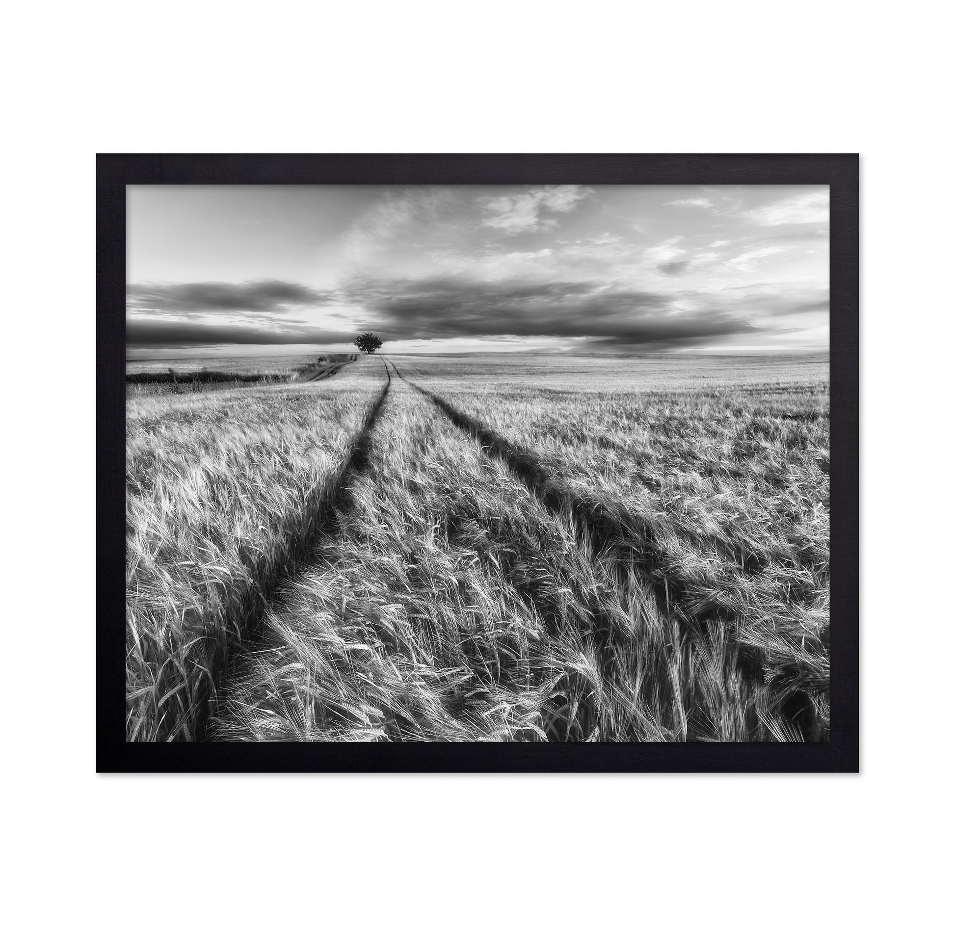 Lone Tree Field Path No2
