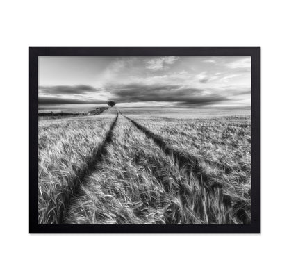 Lone Tree Field Path No2