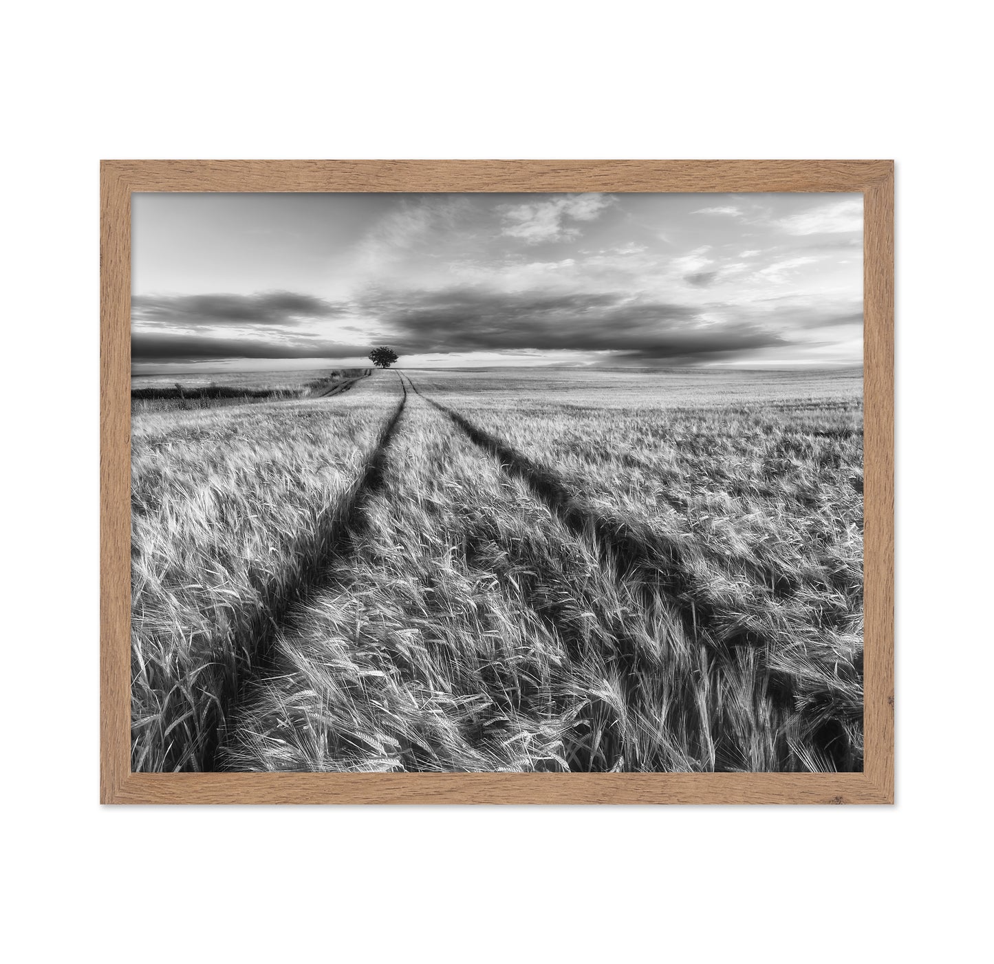 Lone Tree Field Path No2