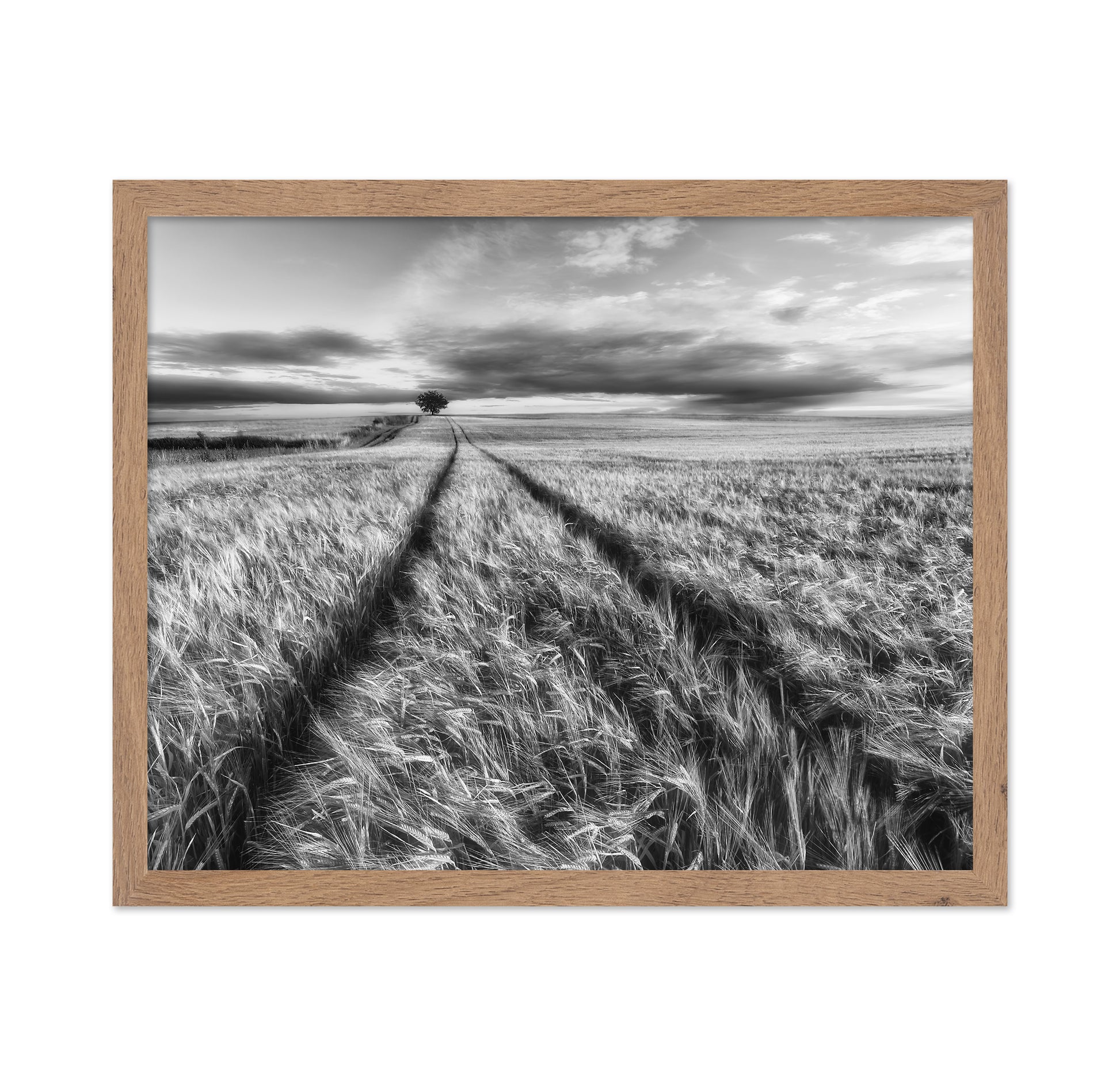 Lone Tree Field Path No2