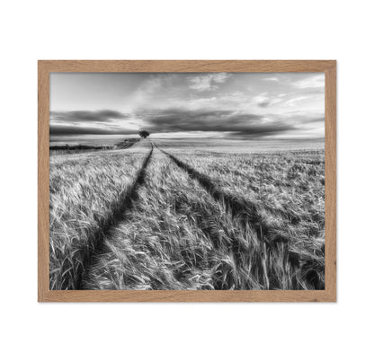 Lone Tree Field Path No2