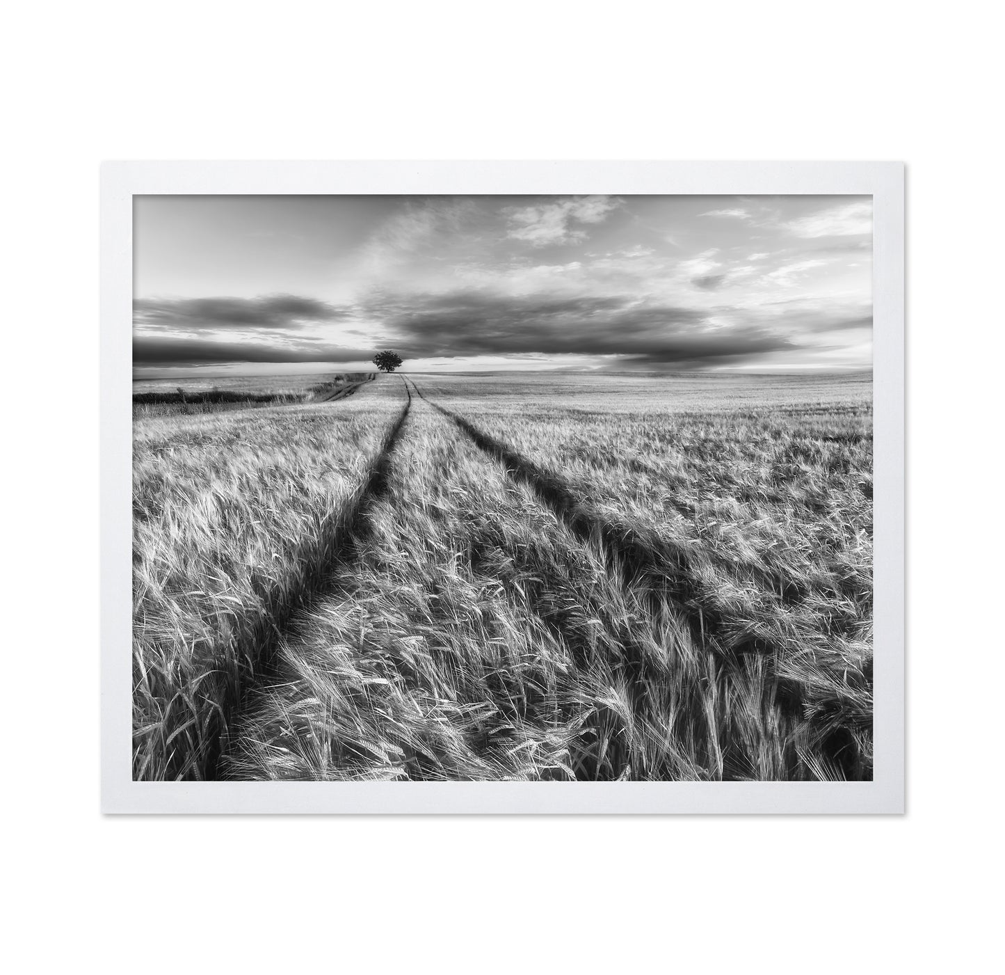 Lone Tree Field Path No2