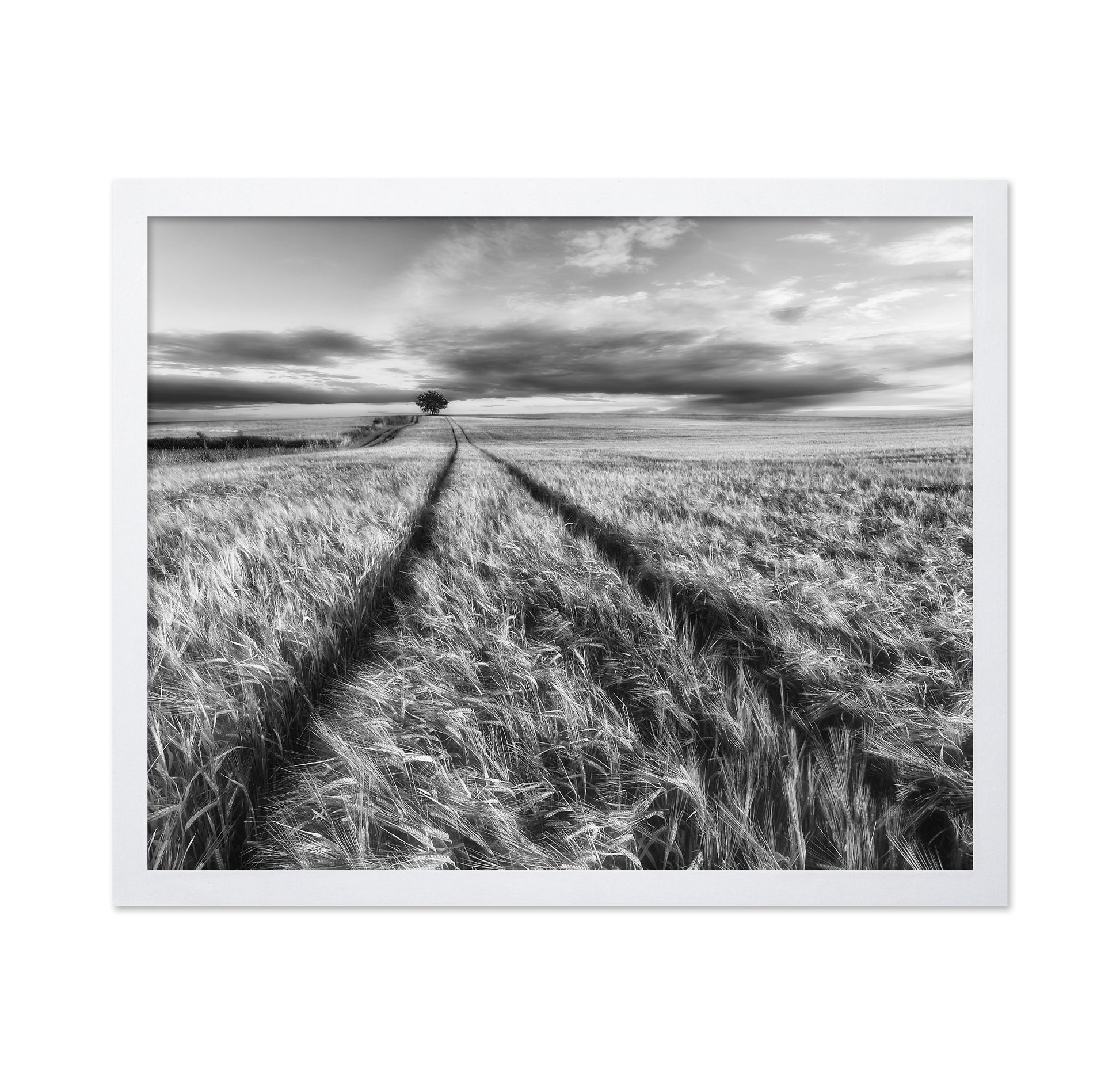 Lone Tree Field Path No2