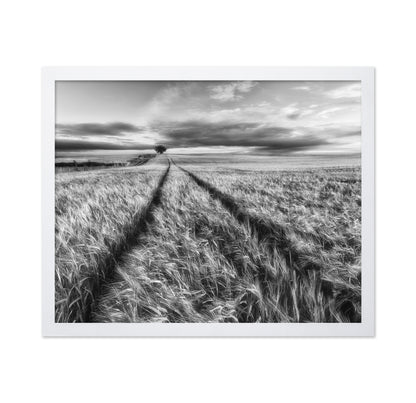 Lone Tree Field Path No2