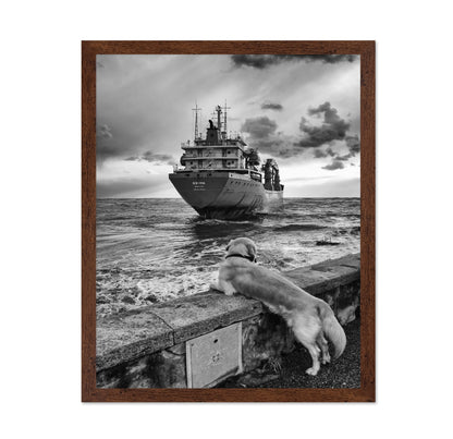 Dog Watching Cargo Ship