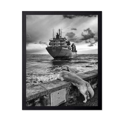 Dog Watching Cargo Ship