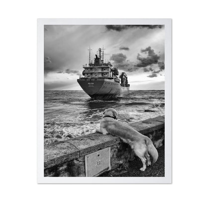 Dog Watching Cargo Ship