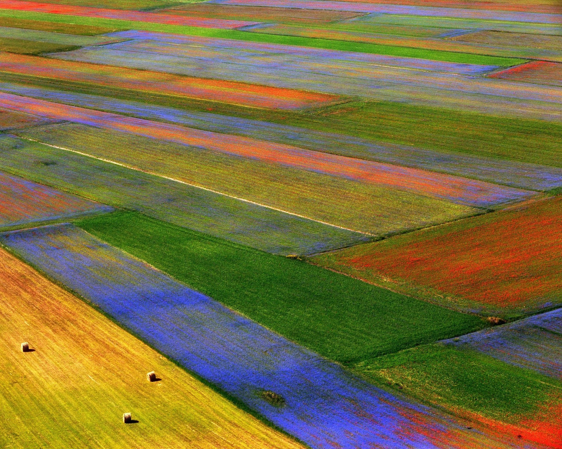 Colorful Patchwork Fields