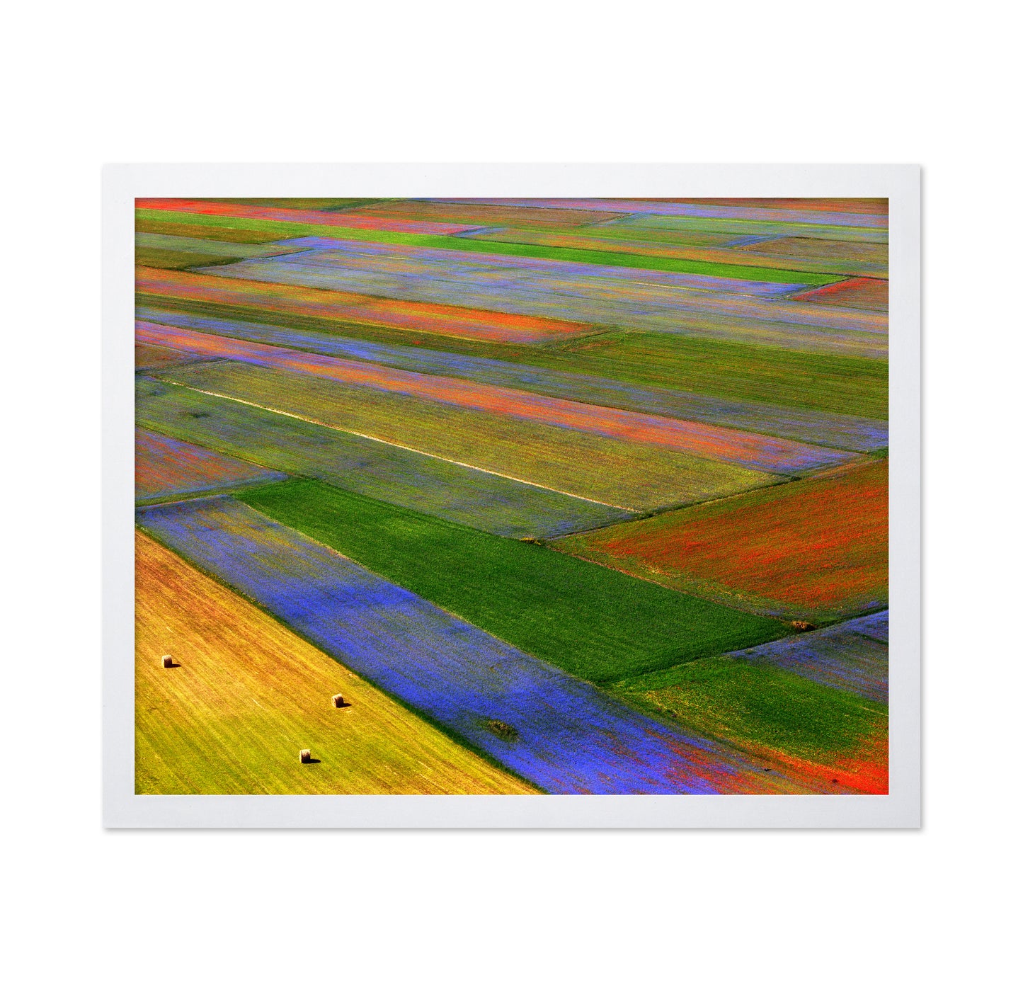 Colorful Patchwork Fields