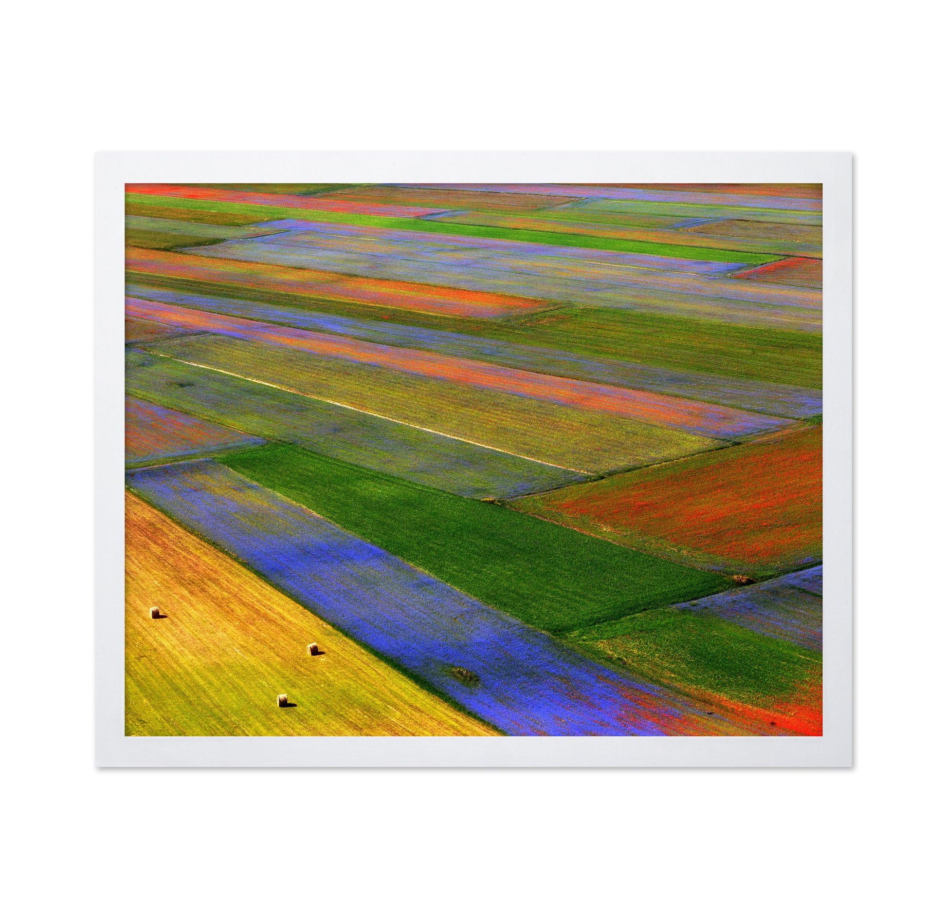 Colorful Patchwork Fields