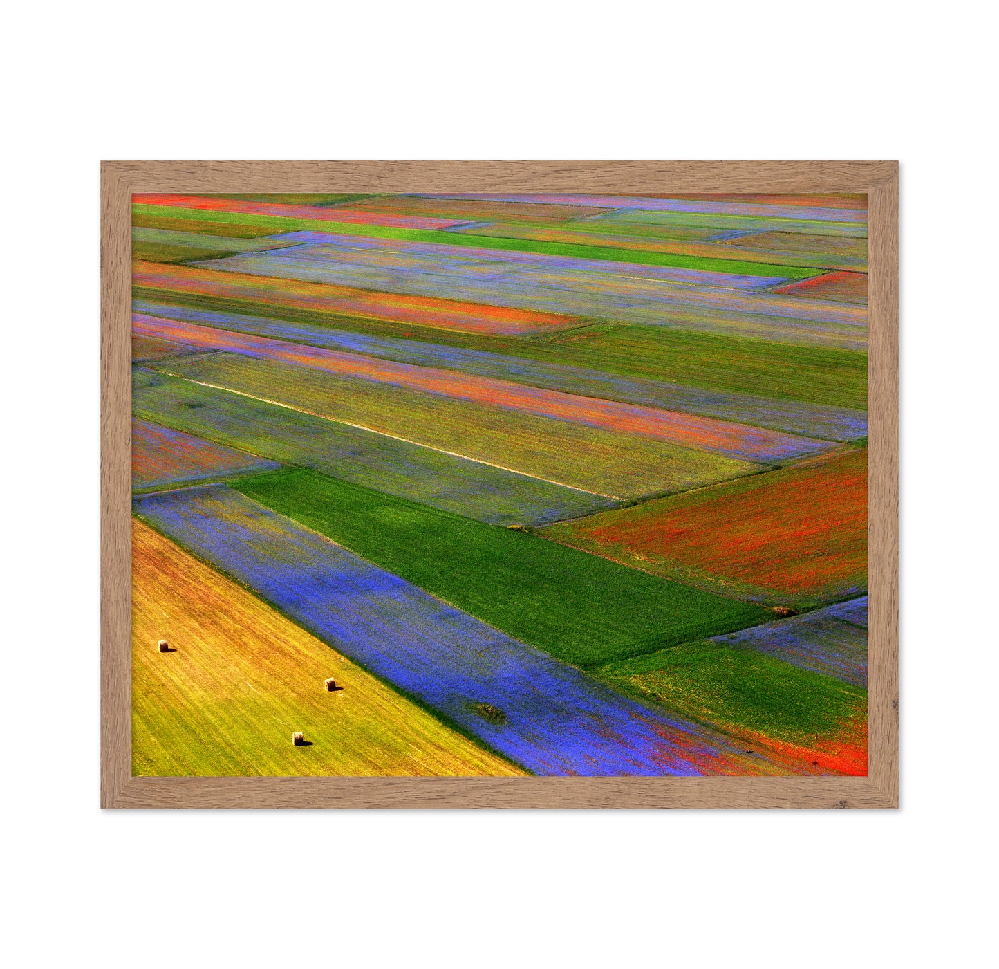 Colorful Patchwork Fields