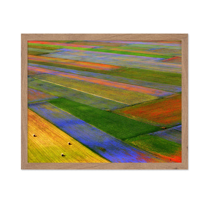 Colorful Patchwork Fields