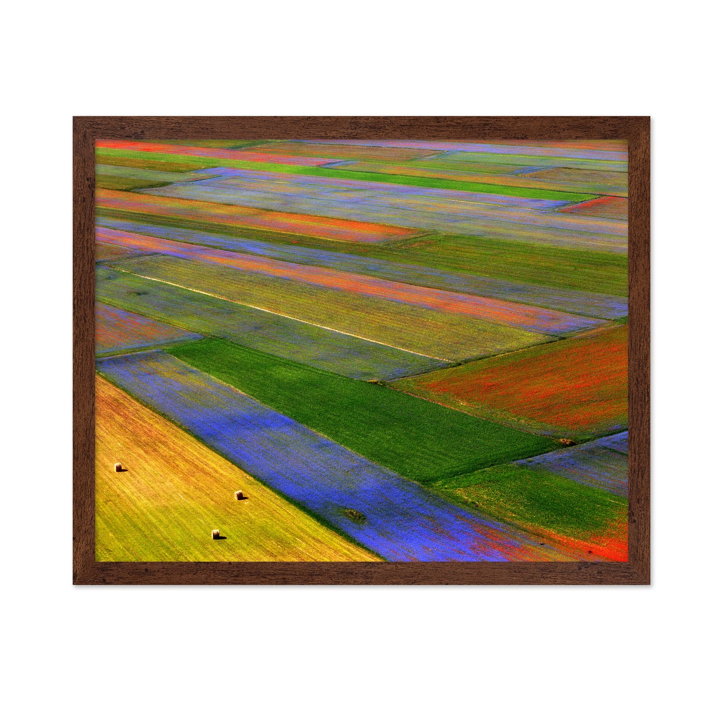 Colorful Patchwork Fields