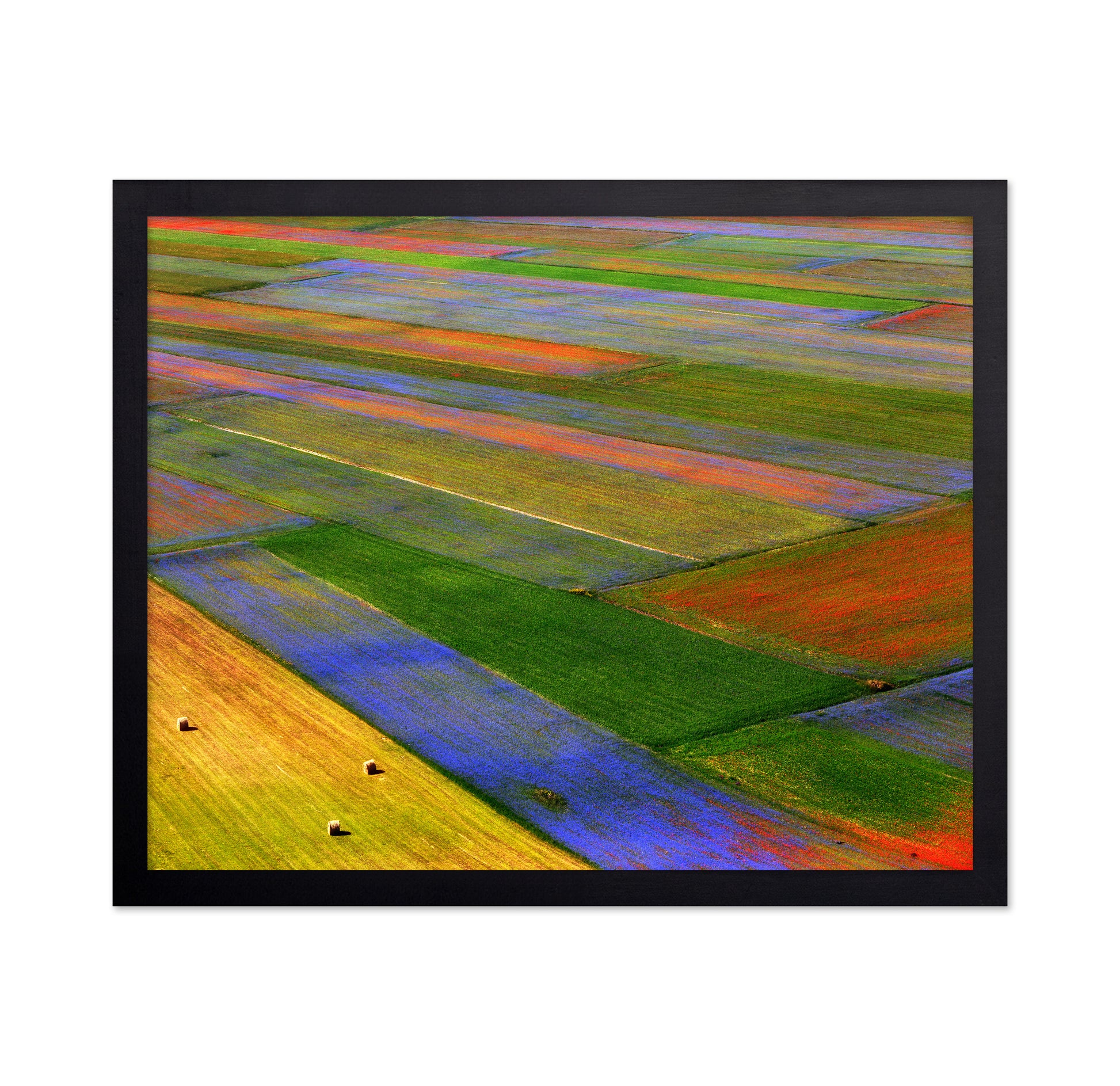 Colorful Patchwork Fields
