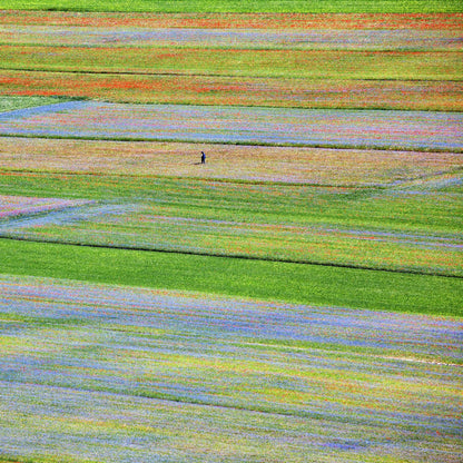 Flower Field Patchwork