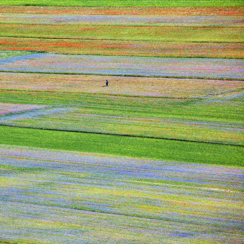 Flower Field Patchwork