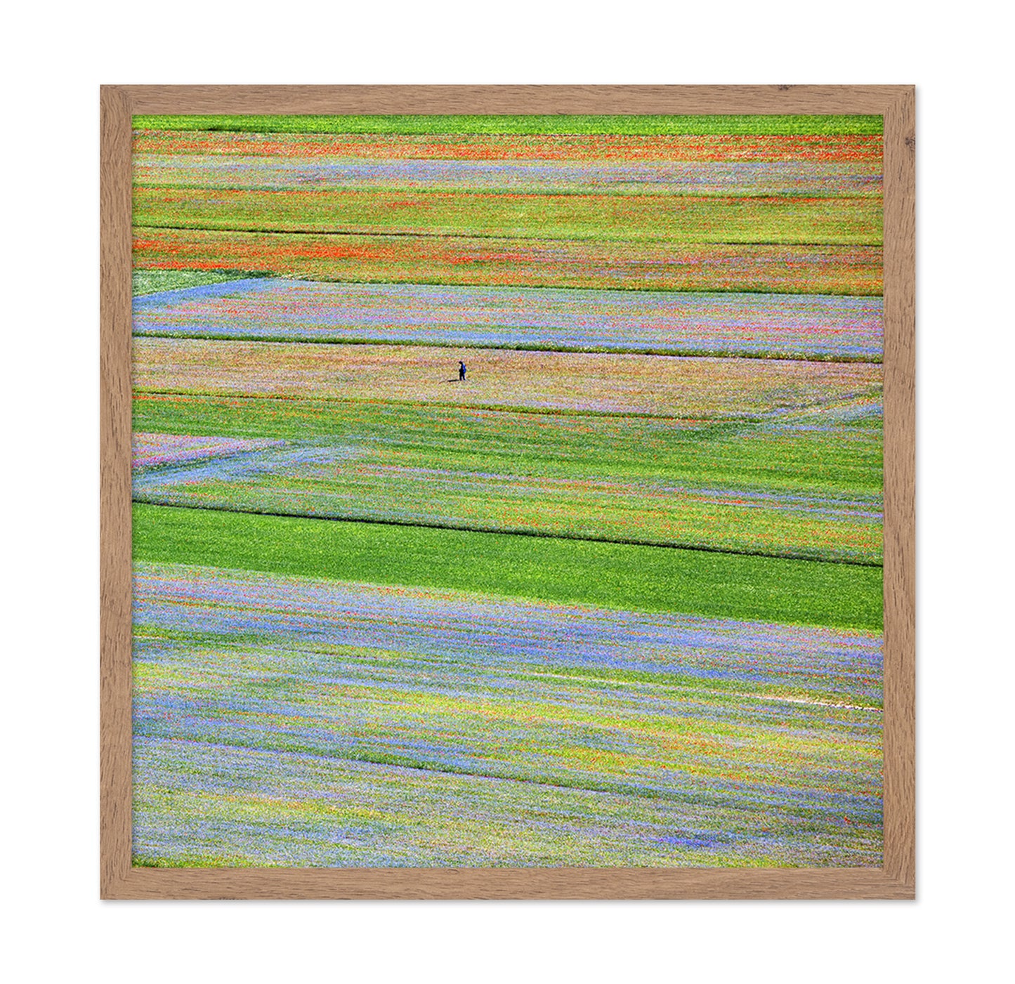 Flower Field Patchwork