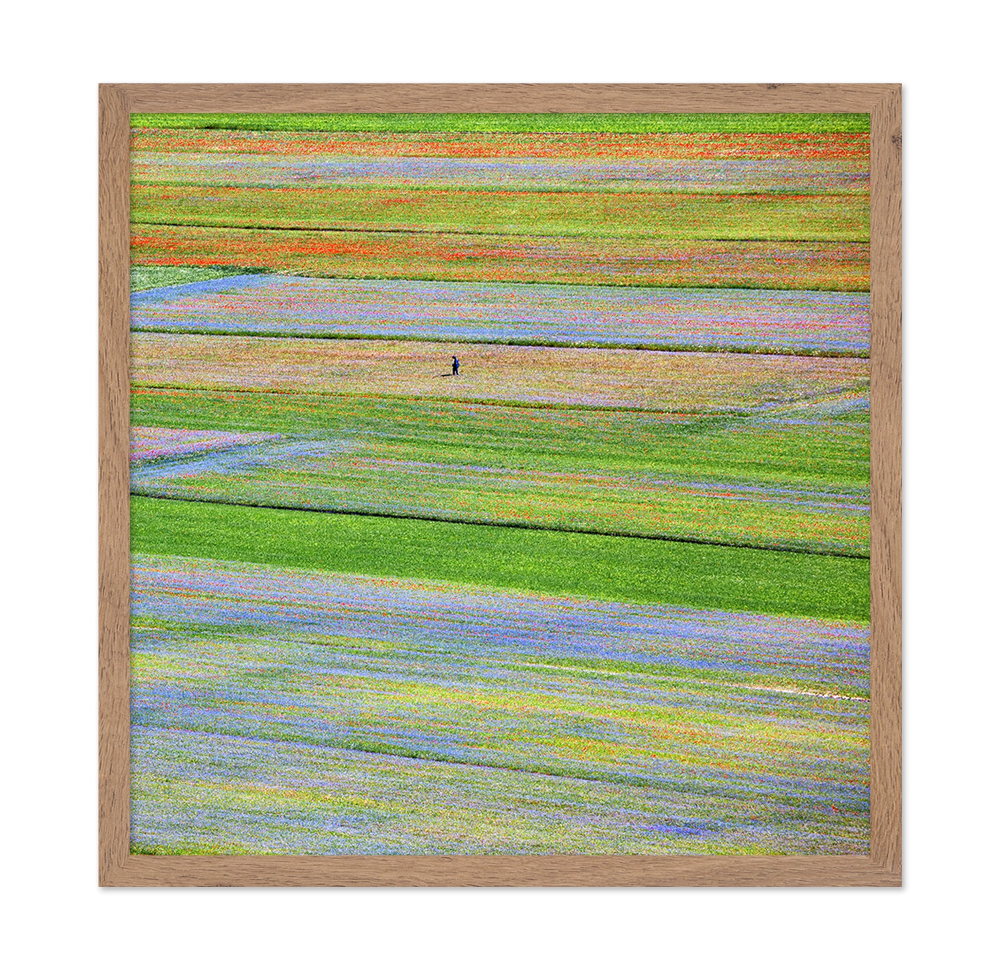 Flower Field Patchwork