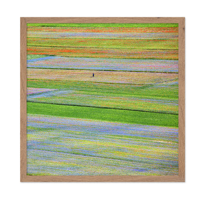 Flower Field Patchwork