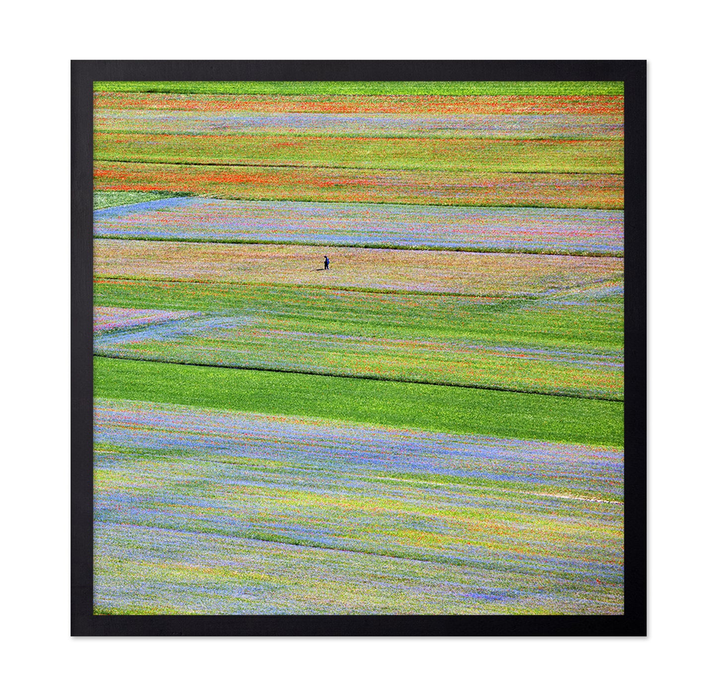 Flower Field Patchwork