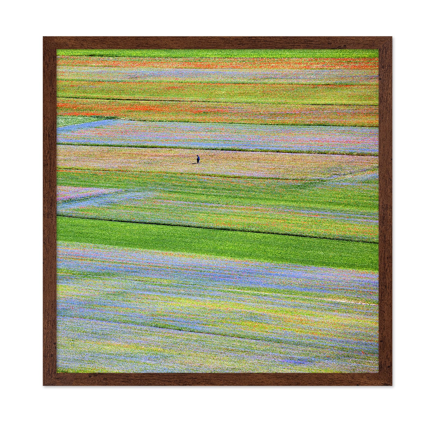 Flower Field Patchwork