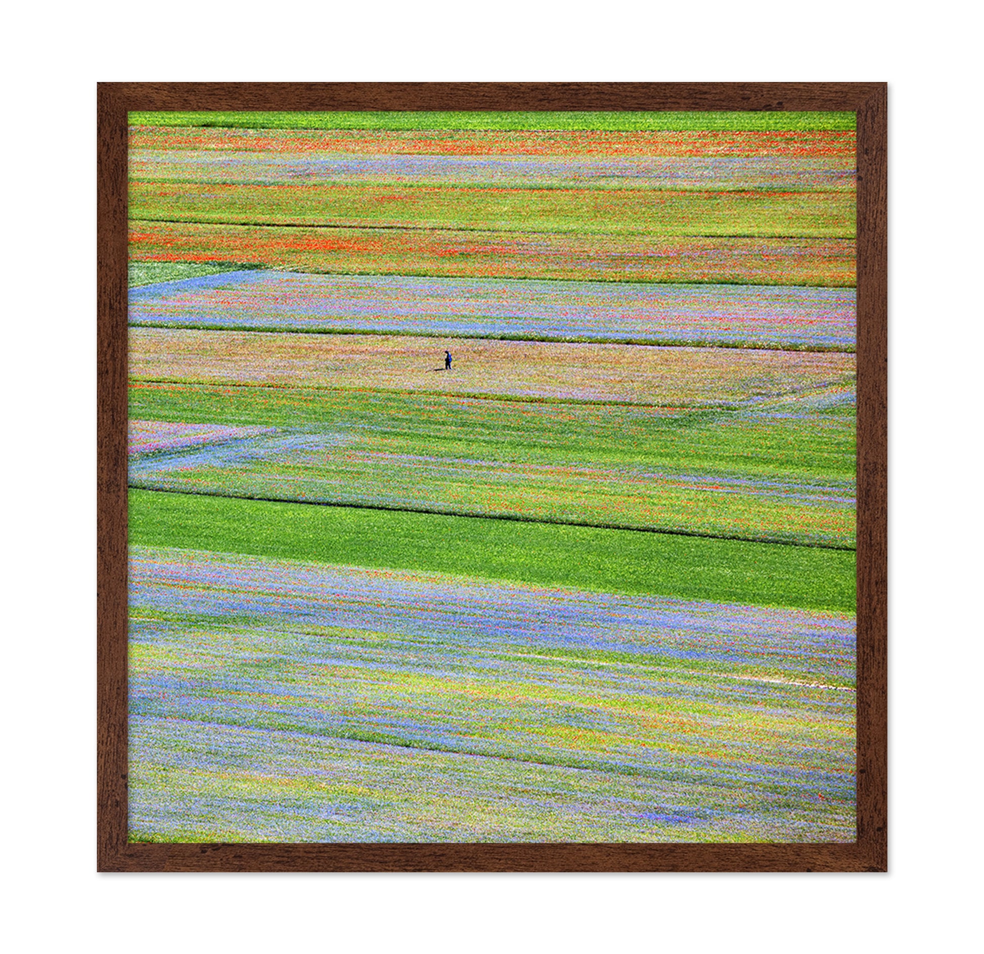 Flower Field Patchwork