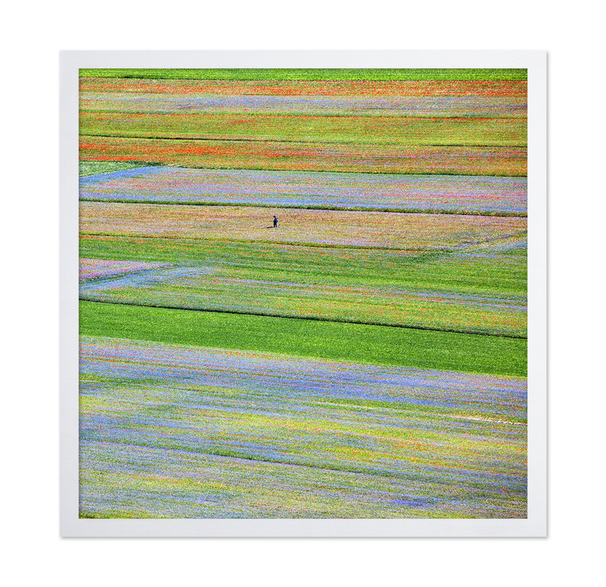 Flower Field Patchwork