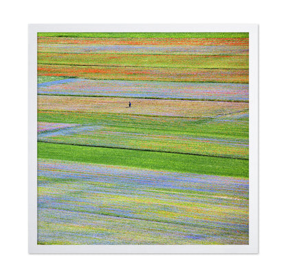 Flower Field Patchwork
