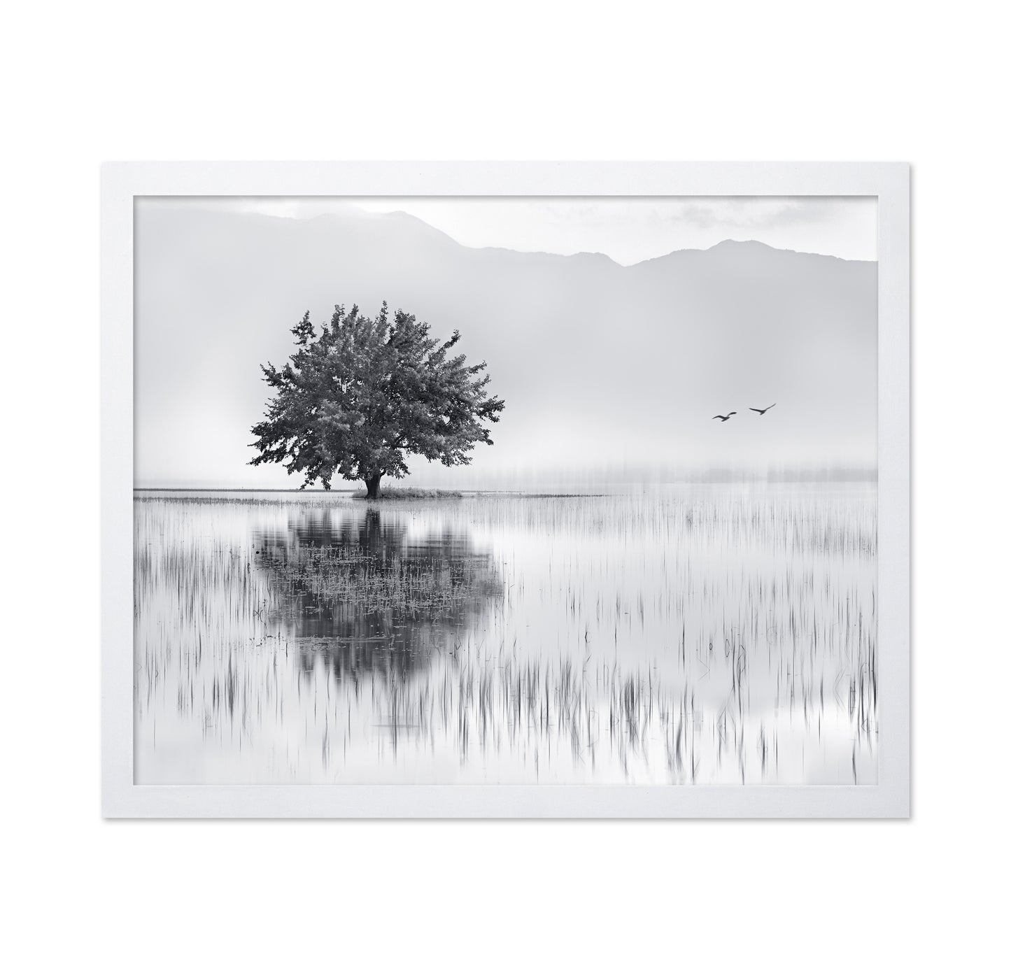 Lone Tree Reflection No1