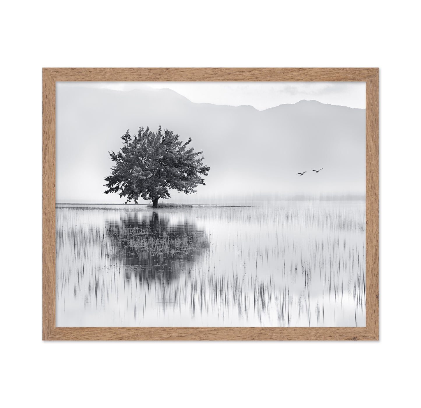 Lone Tree Reflection No1