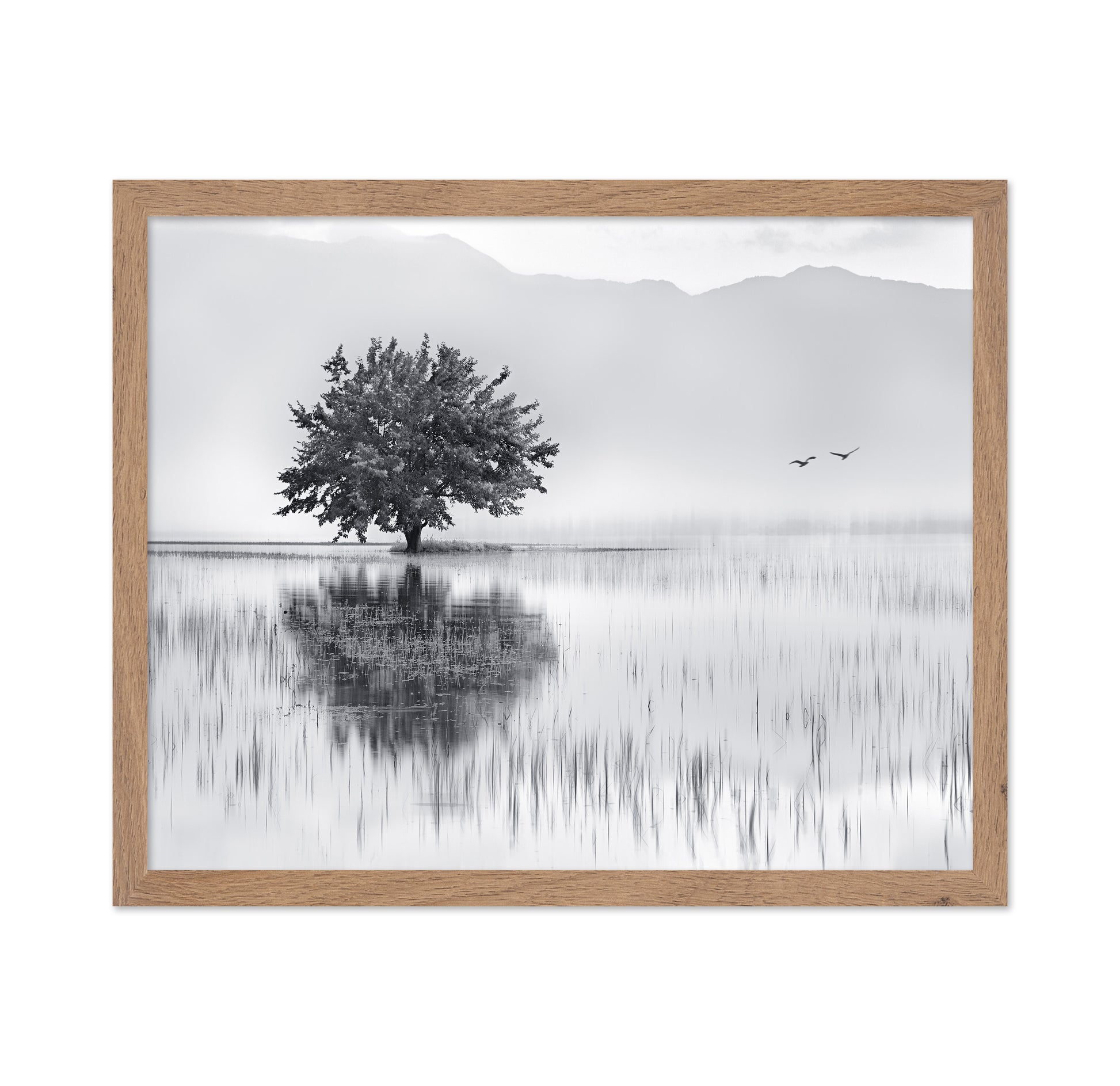 Lone Tree Reflection No1