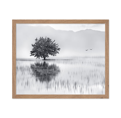 Lone Tree Reflection No1