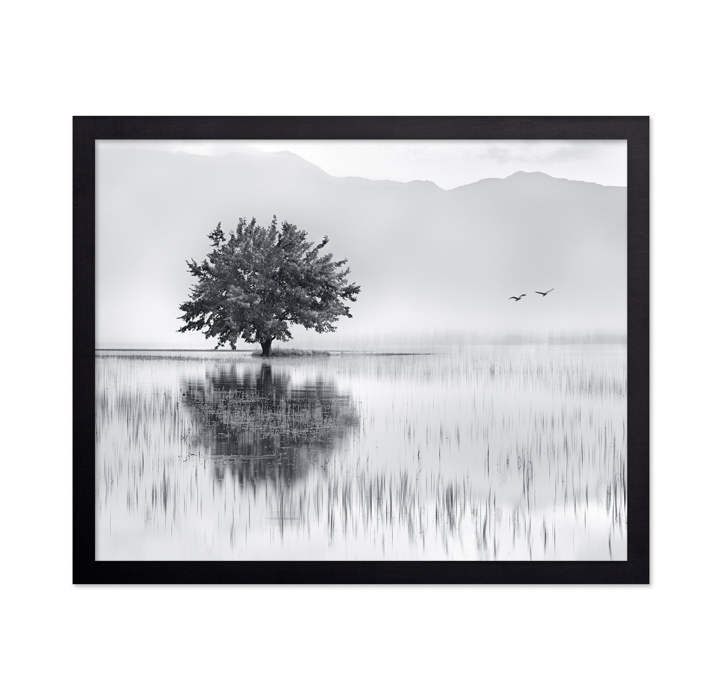 Lone Tree Reflection No1
