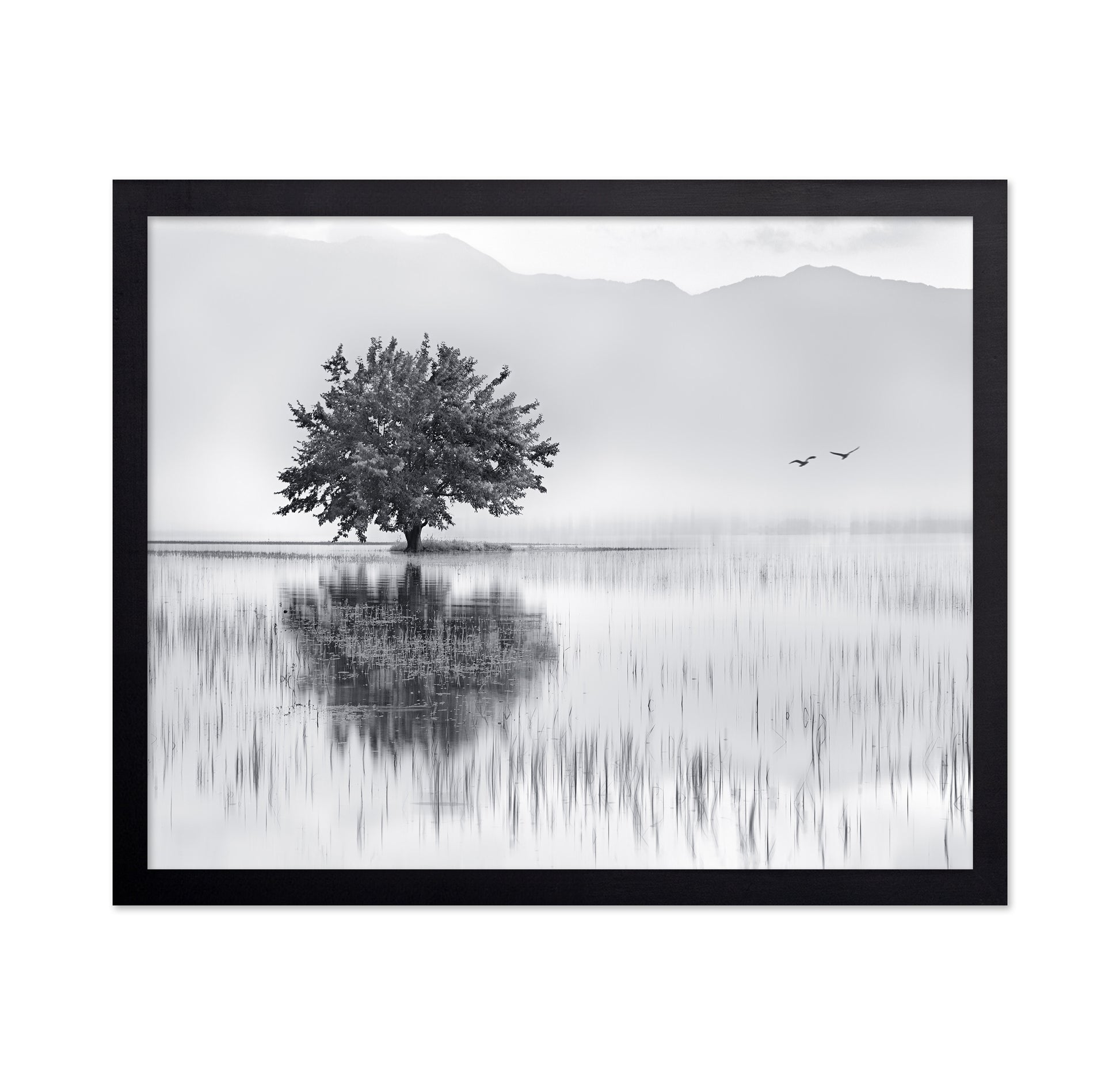 Lone Tree Reflection No1