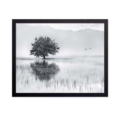 Lone Tree Reflection No1