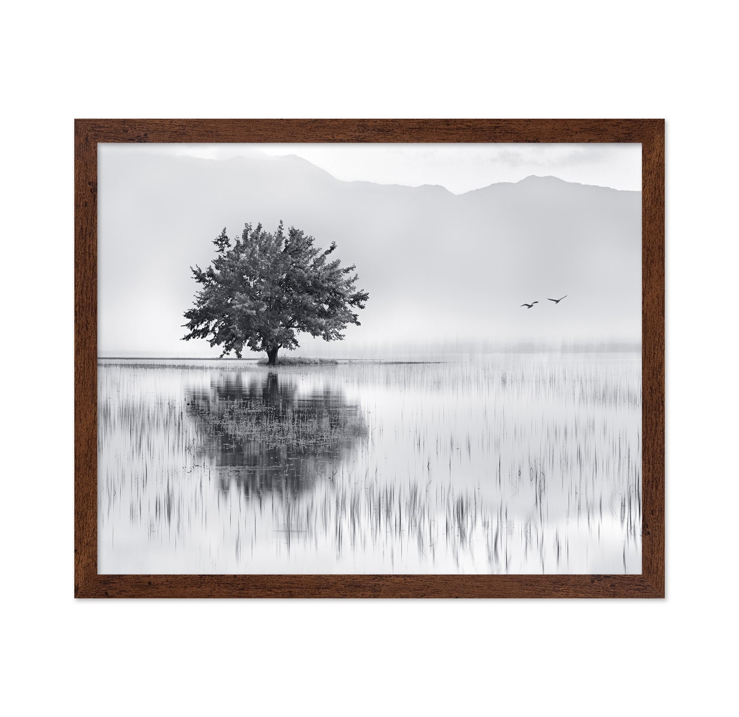Lone Tree Reflection No1