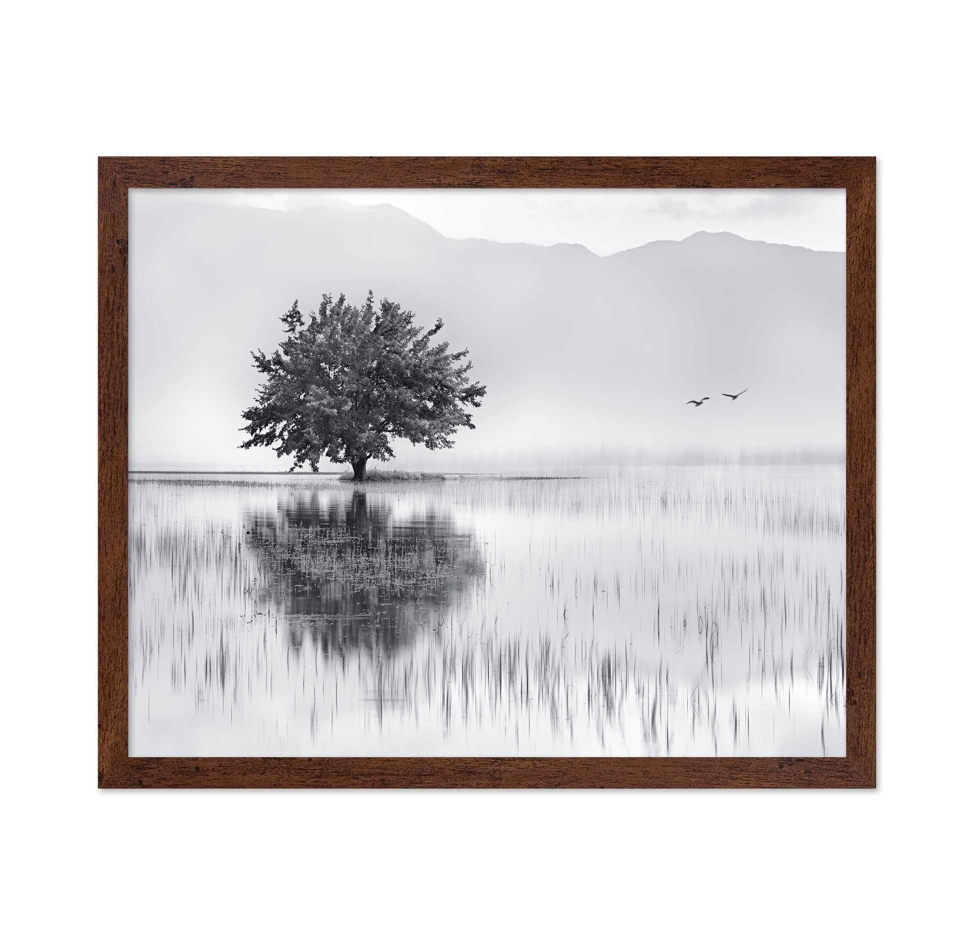 Lone Tree Reflection No1