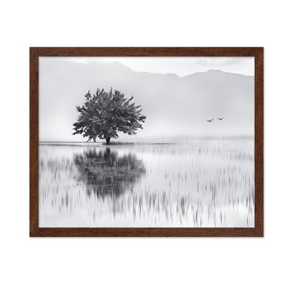 Lone Tree Reflection No1