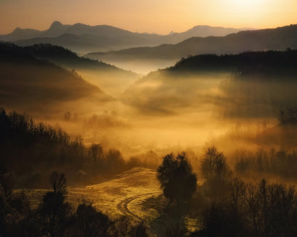 Golden Misty Valley