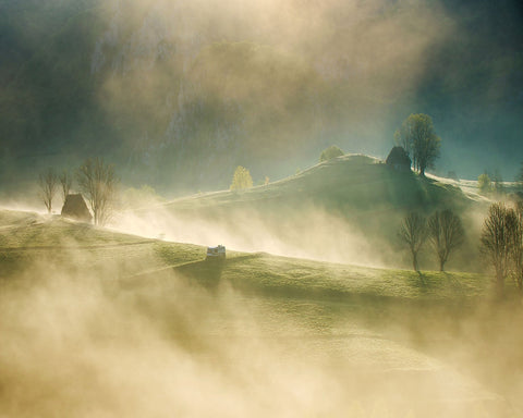 Golden Morning Hills