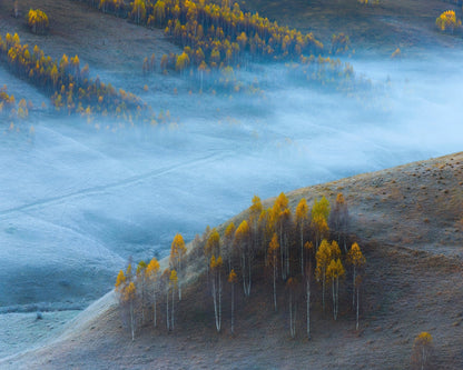Autumn Hills In Mist