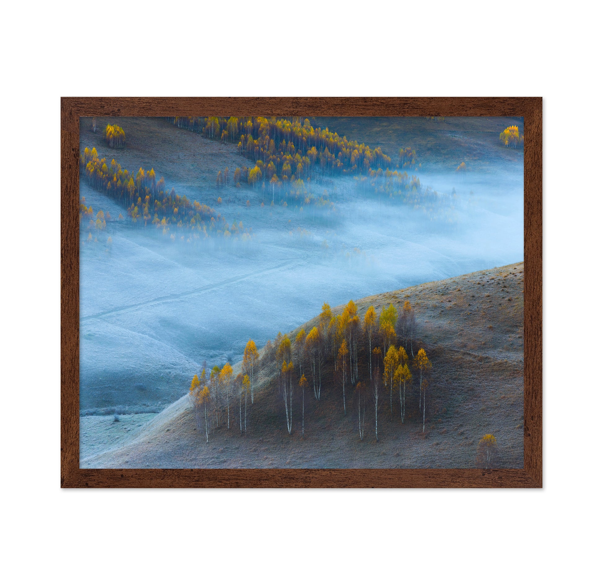 Autumn Hills In Mist