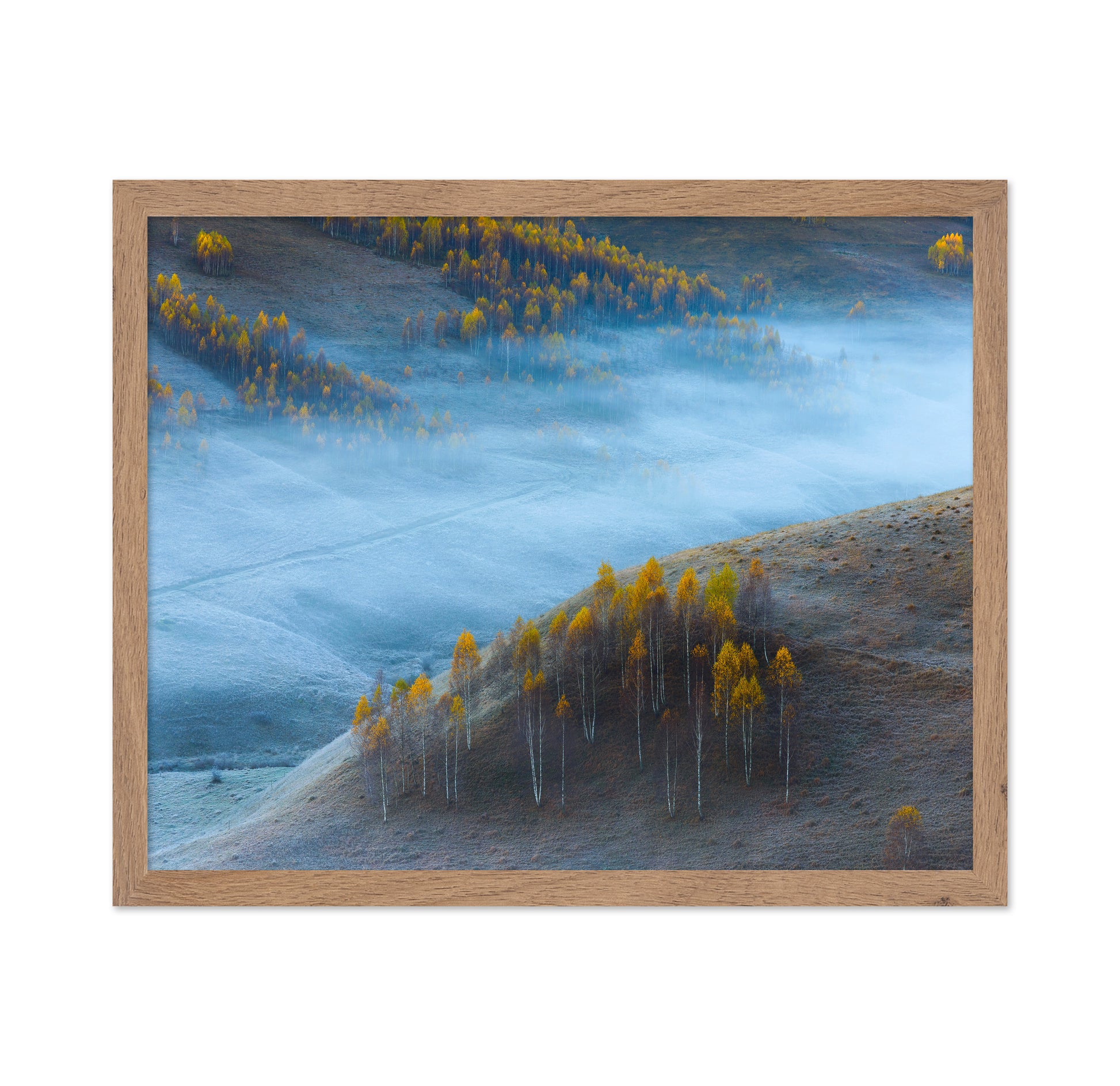 Autumn Hills In Mist