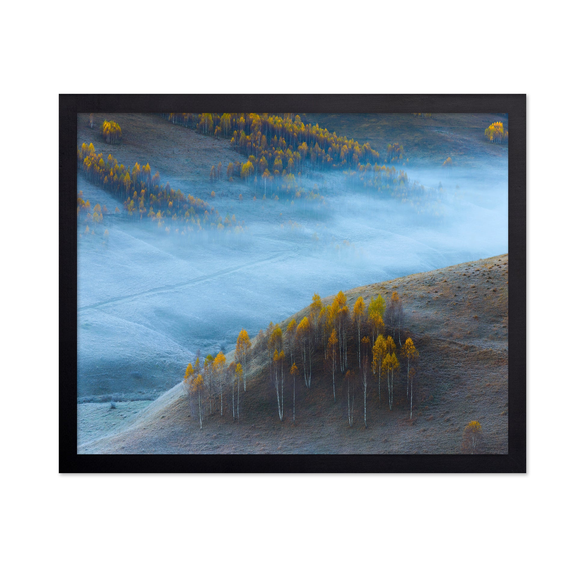 Autumn Hills In Mist