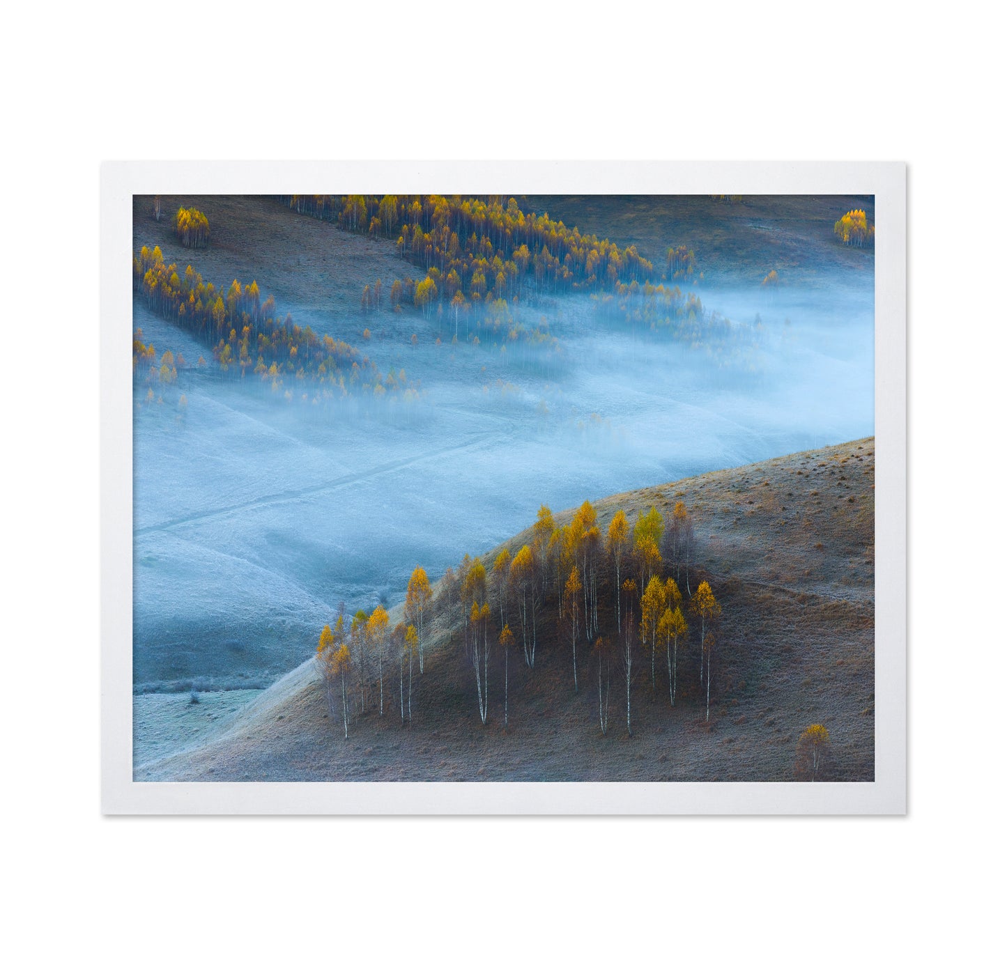 Autumn Hills In Mist